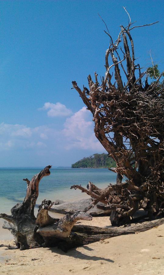 Pellicon Beach Resort Havelock island Exterior foto